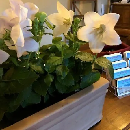 Le Crist'al, Climatise, Front De Mer, Proche Du Centre Ville, Et Solution De Restauration