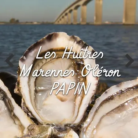 Le Crist'al, Climatise, Front De Mer, Proche Du Centre Ville, Et Solution De Restauration