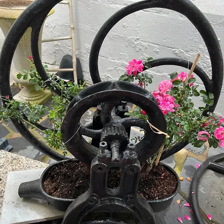 酒店 Le Crist'al, Climatise, Front De Mer, Proche Du Centre Ville, Et Solution De Restauration 3*