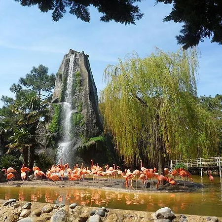 Le Crist'al, Climatise, Front De Mer, Proche Du Centre Ville, Et Solution De Restauration 酒店 圣乔治德蒂