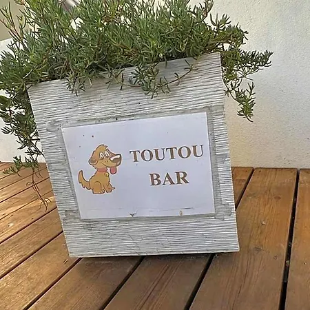 Le Crist Al, Front De Mer, Climatisees Et Son Non Climatise, Proche Du Centre Hotel